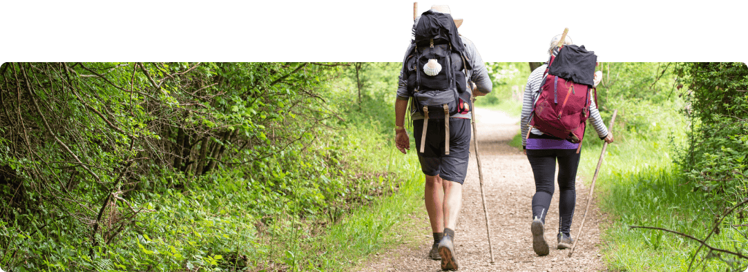 tui pilgern wald wandern