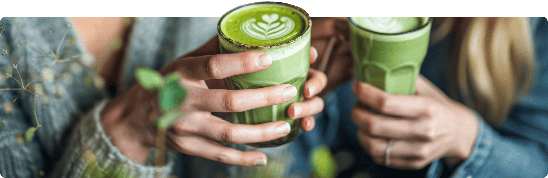 tui szeneviertel matcha