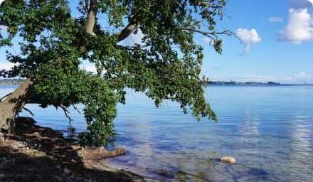 Selmsdorf Mecklenburg-Vorpommern