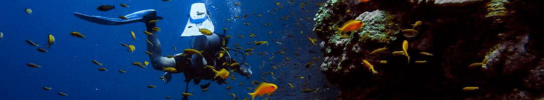 Auf Tauchgang in Bodrum: Einzigartige Unterwasserwelten am Big- und Small-Reef